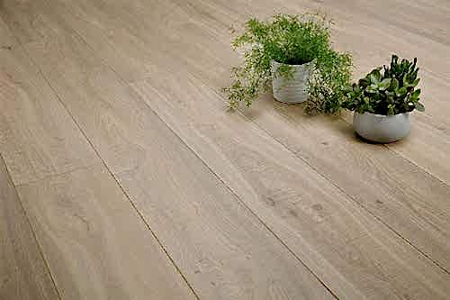 Audacity 12mm Laminate Summer Hill Oak Built-in Underlay